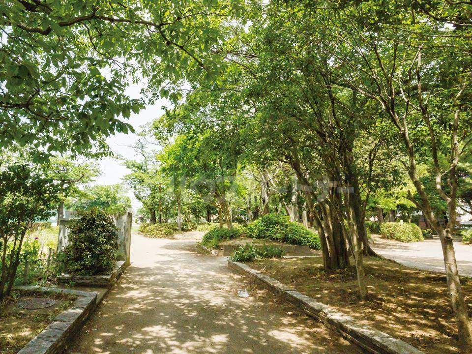 公園　南流山中央公園（公園）まで2250m