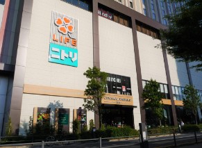 スーパー　ライフセントラルスクエア押上駅前店（スーパー）まで256m