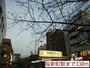 その他　桜新町駅（その他）まで330m