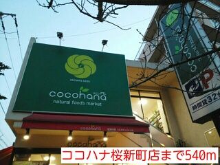 プリムローズ(Primroseの周辺写真