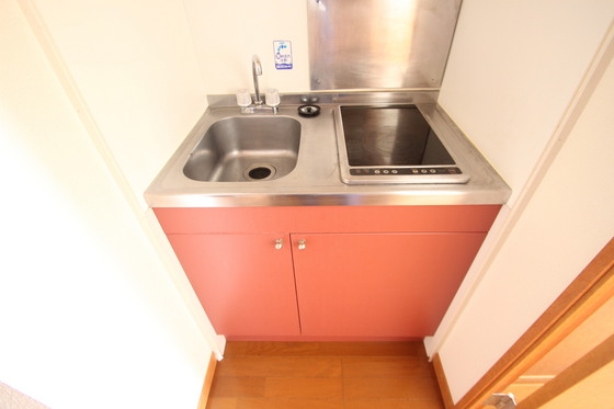 キッチン　※別号室の写真です