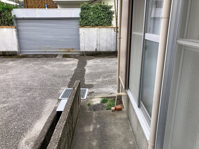 庭　2026年2月撮影