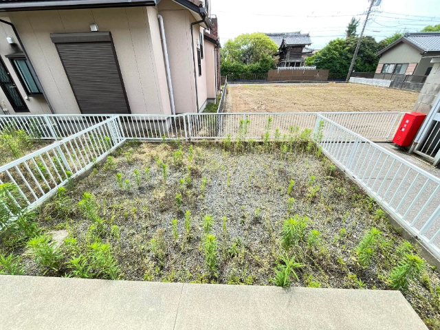 庭