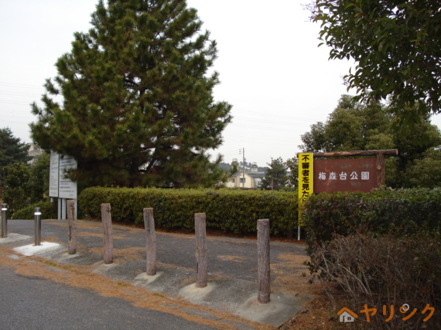公園　梅森台公園（公園）まで600m
