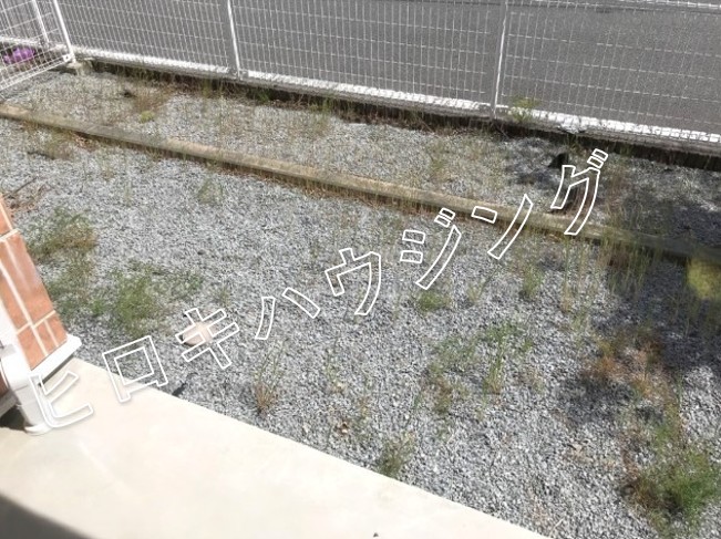 庭