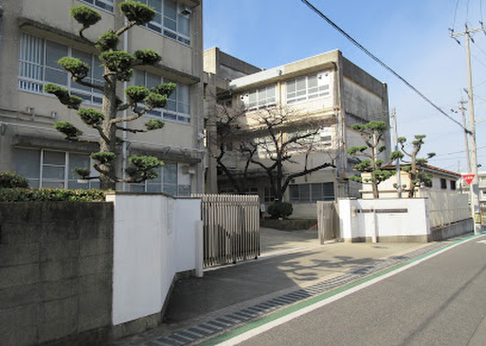 小学校　堺市立登美丘東小学校（小学校）まで600m