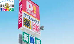 ショッピングセンター　DiREX若葉町店（ショッピングセンター）まで475m