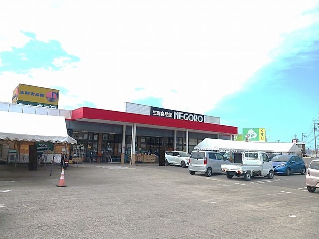 スーパー　スーパーネゴロ打田店様（スーパー）まで1000m