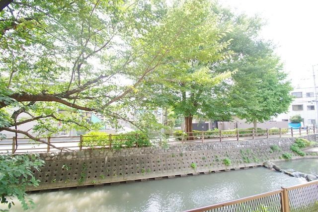 ルミエールのその他写真