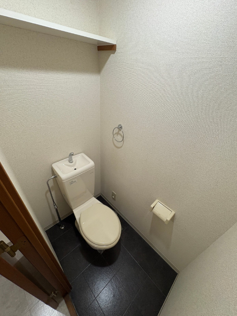 プチメゾン稲生IIのトイレ写真