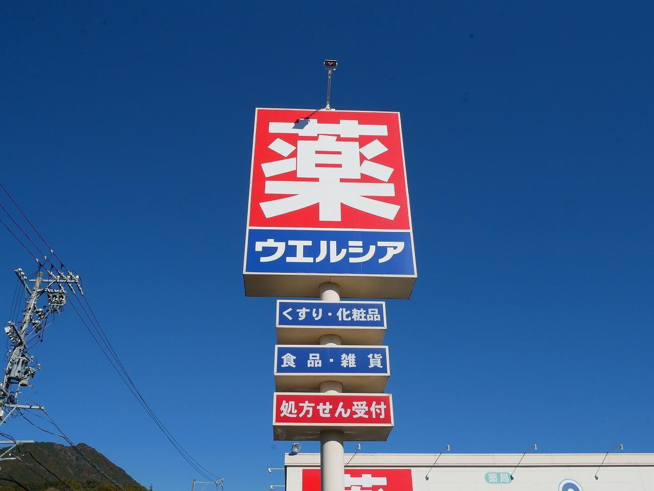 ドラックストア　ウエルシア清水下清水店（ドラッグストア）まで875m