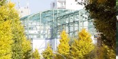 中学校　原宿外苑中学校（中学校）まで582m