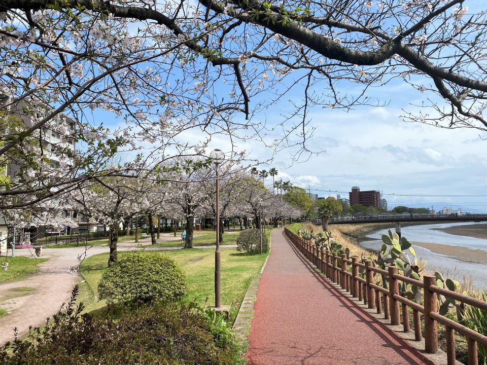 【セントヒルズ鹿児島の公園】