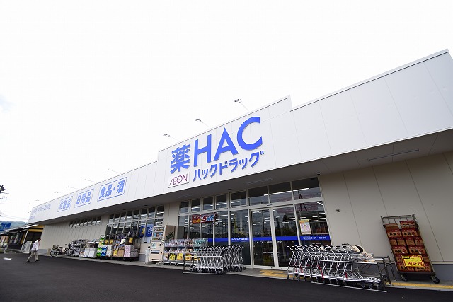 ドラックストア　ハックドラッグ秦野平沢店（ドラッグストア）まで1101m