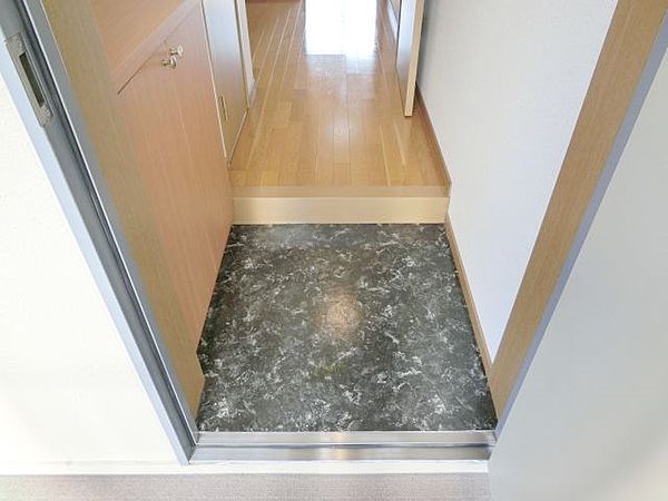 玄関　同仕様写真