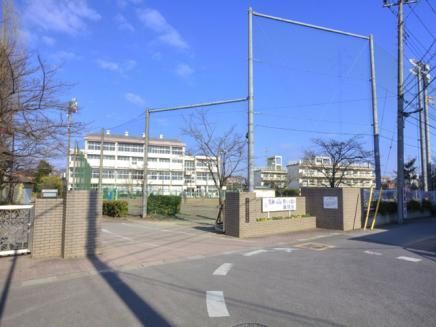 小学校　川口市立前川小学校（小学校）まで773m