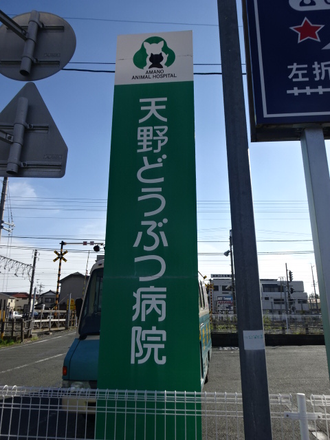 病院　天野どうぶつ病院（病院）まで2079m