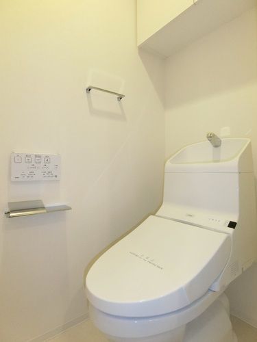 ライオンズ千代田岩本町ミレスーKDAのトイレ写真
