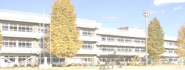 桜Legendの周辺写真