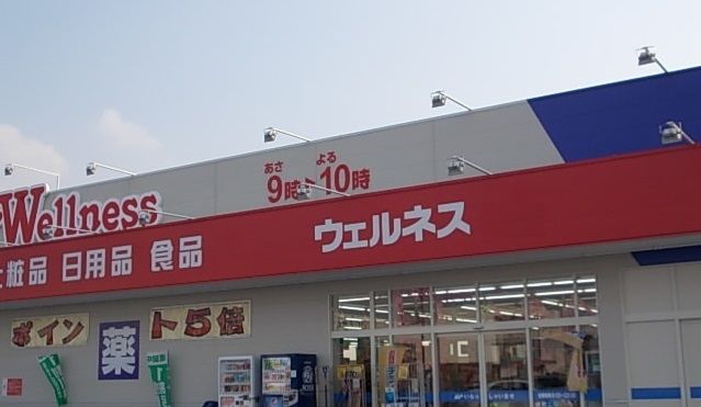 ドラックストア　ウェルネス両三柳店（ドラッグストア）まで850m