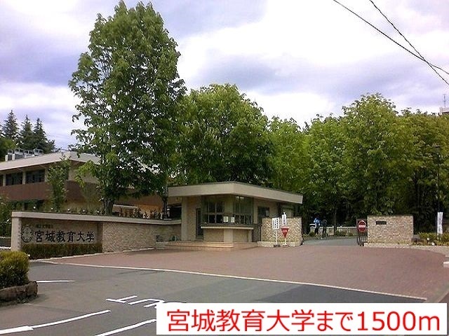 【コリーヌ　Ｃの大学・短大】