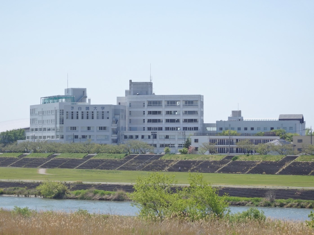 【メゾン思水Ｂ棟の大学・短大】