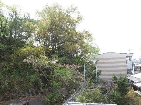 アルアンダ　眺望　眺望
