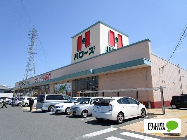 スーパー　ハローズ北島店（スーパー）まで744m