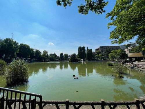 公園　見次公園（公園）まで447m