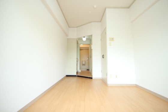 居室・リビング　※別部屋の写真になります。