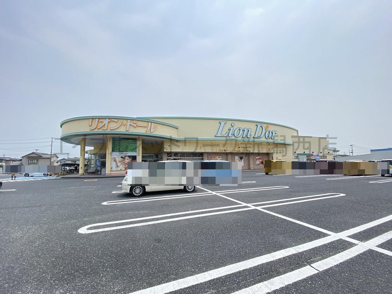 スーパー　リオン・ドール寺尾店（スーパー）まで876m