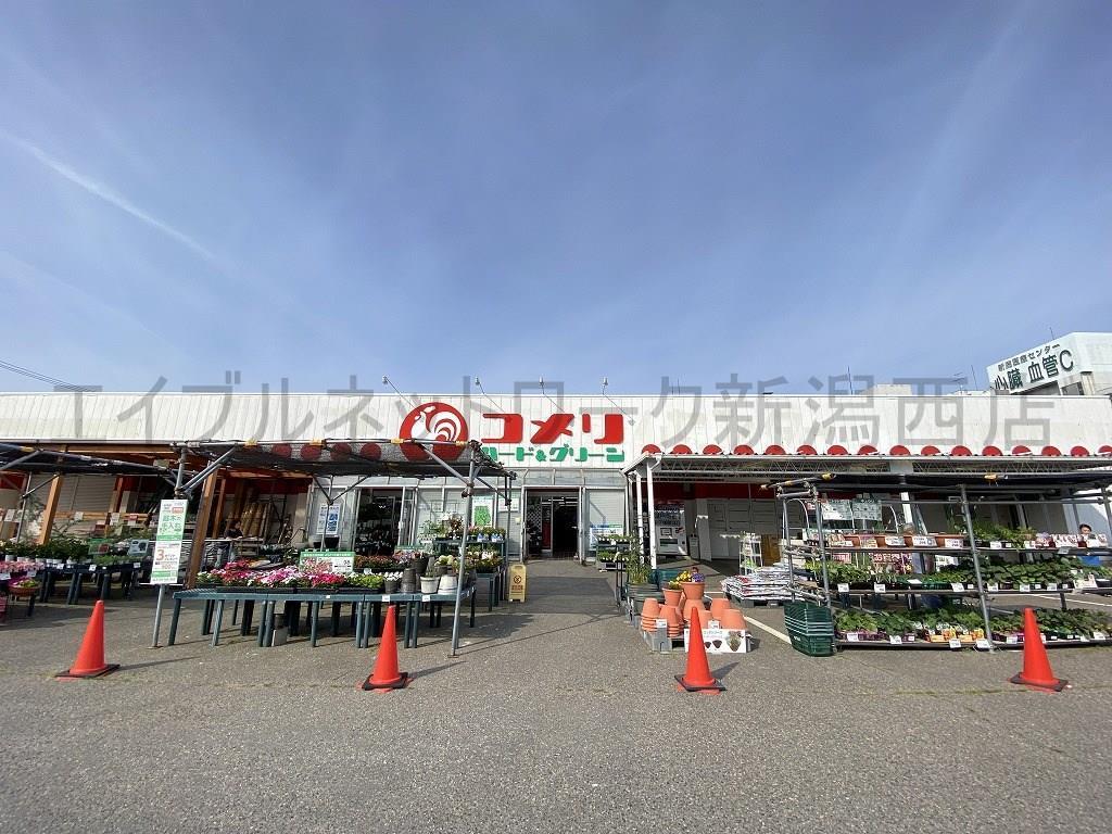 ホームセンター　コメリハード＆グリーン小針店（ホームセンター）まで571m
