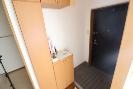 玄関　※別部屋の写真です