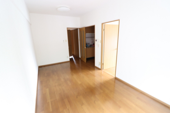 居室・リビング　※別部屋の写真です