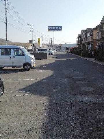 パインブライトBのその他写真