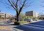 幼稚園・保育園　日体幼稚園（幼稚園・保育園）まで104m