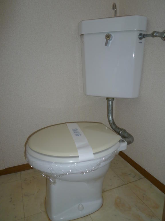 川原内ハイツBのトイレ写真