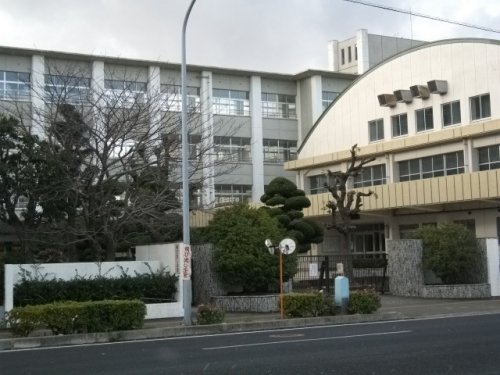 小学校　今治市立別宮小学校（小学校）まで313m