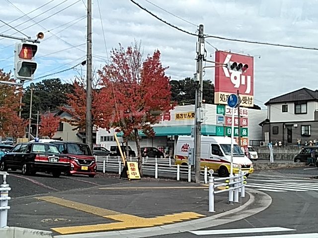 【東海市高横須賀町のアパートのドラックストア】