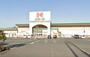 スーパー　ハローズ 乙島店（スーパー）まで304m