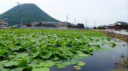 【サンタクララ大隅の公園】