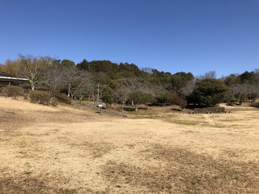 公園　大和民俗公園（公園）まで2387m