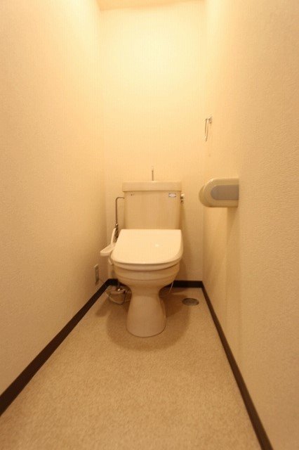 トイレ　同物件、別号室のものです。