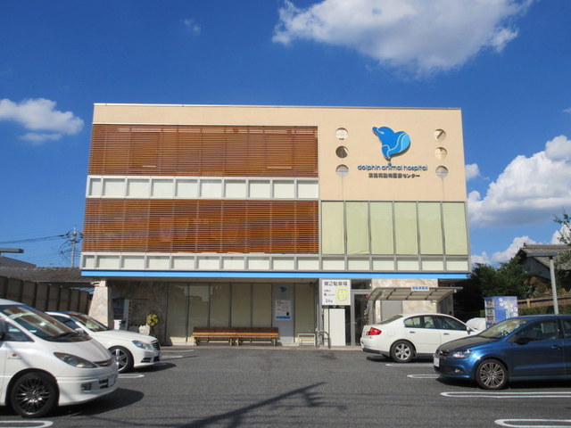 病院　ドルフィンアニマルホスピタル（病院）まで2491m