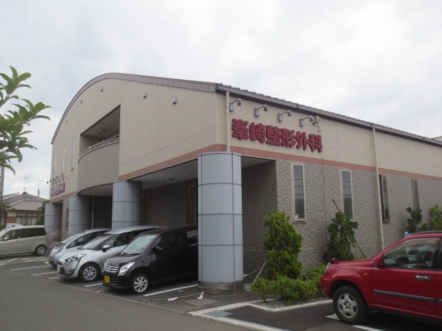 病院　峯崎整形外科（病院）まで813m