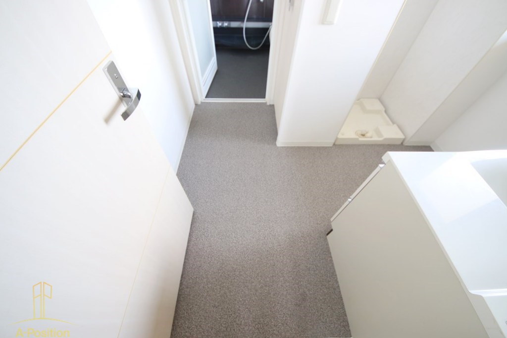 洗面設備　アルグラッド ザ・タワー心斎橋