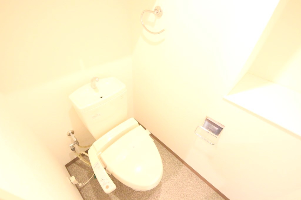 トイレ　アルグラッド ザ・タワー心斎橋