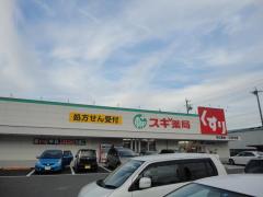 ドラックストア　スギドラッグ 中川一色新町店（ドラッグストア）まで535m