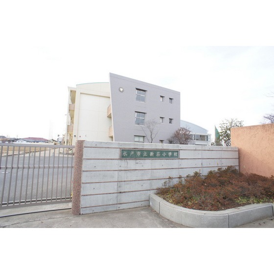 小学校　水戸市立新荘小学校（小学校）まで829m