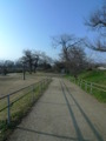 公園　石手川公園（公園）まで400m